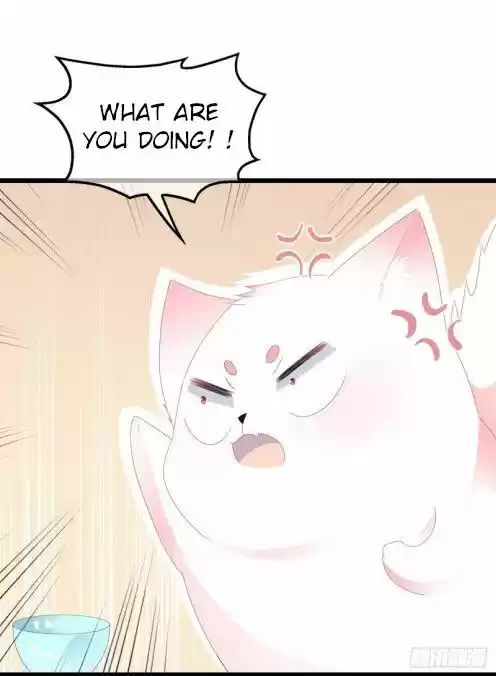 Chapter 45.5